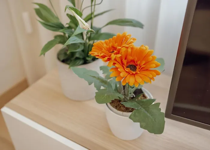 Modern Trindade By Homing Appartement *